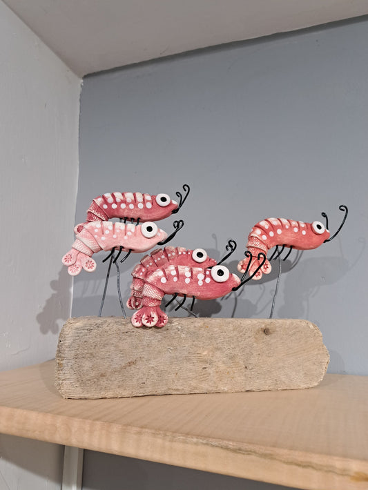 Kate Ellis - Five shrimp on wood