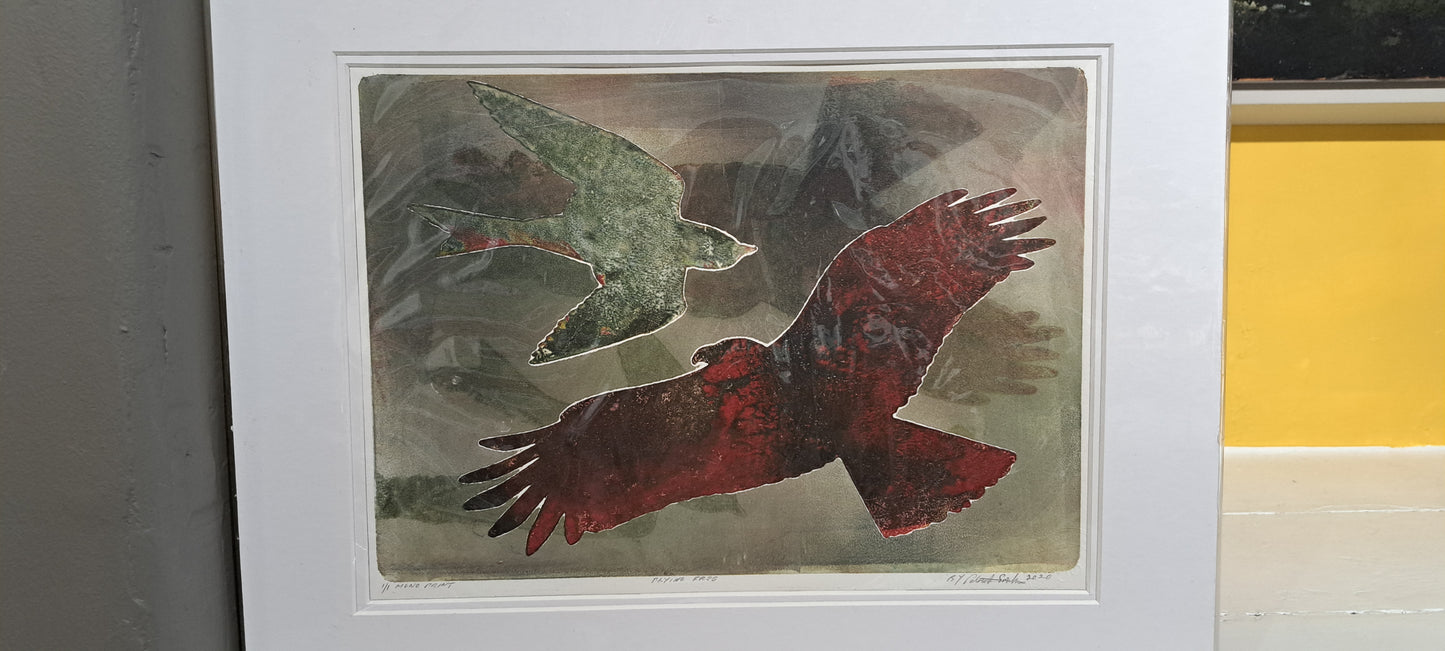Patrick Smith - Mono Print, Flying Free