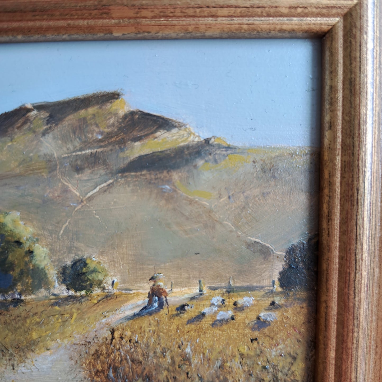 Calum Balding - The Gathering