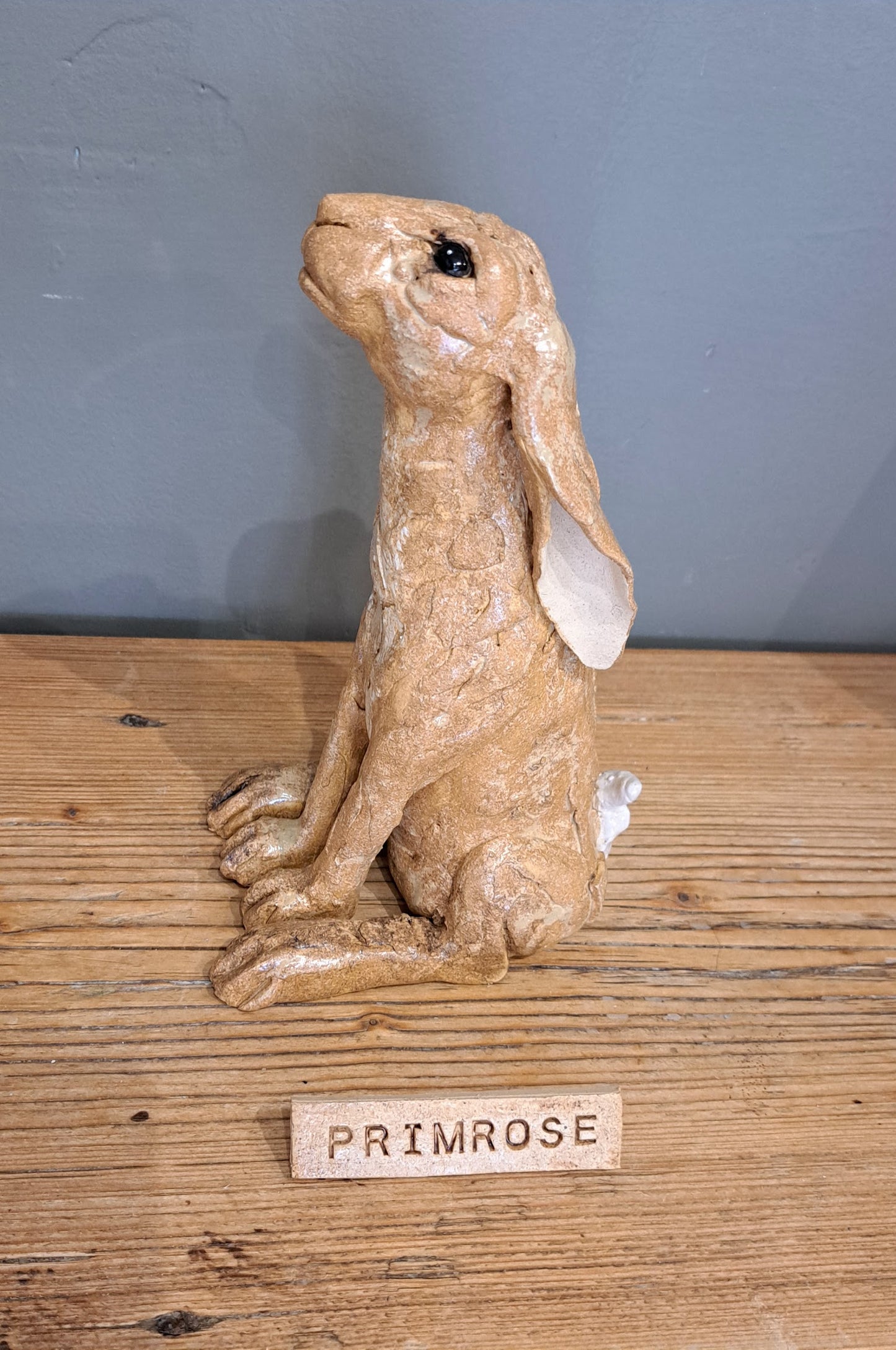 Sharon Westmoreland - Primrose Hare