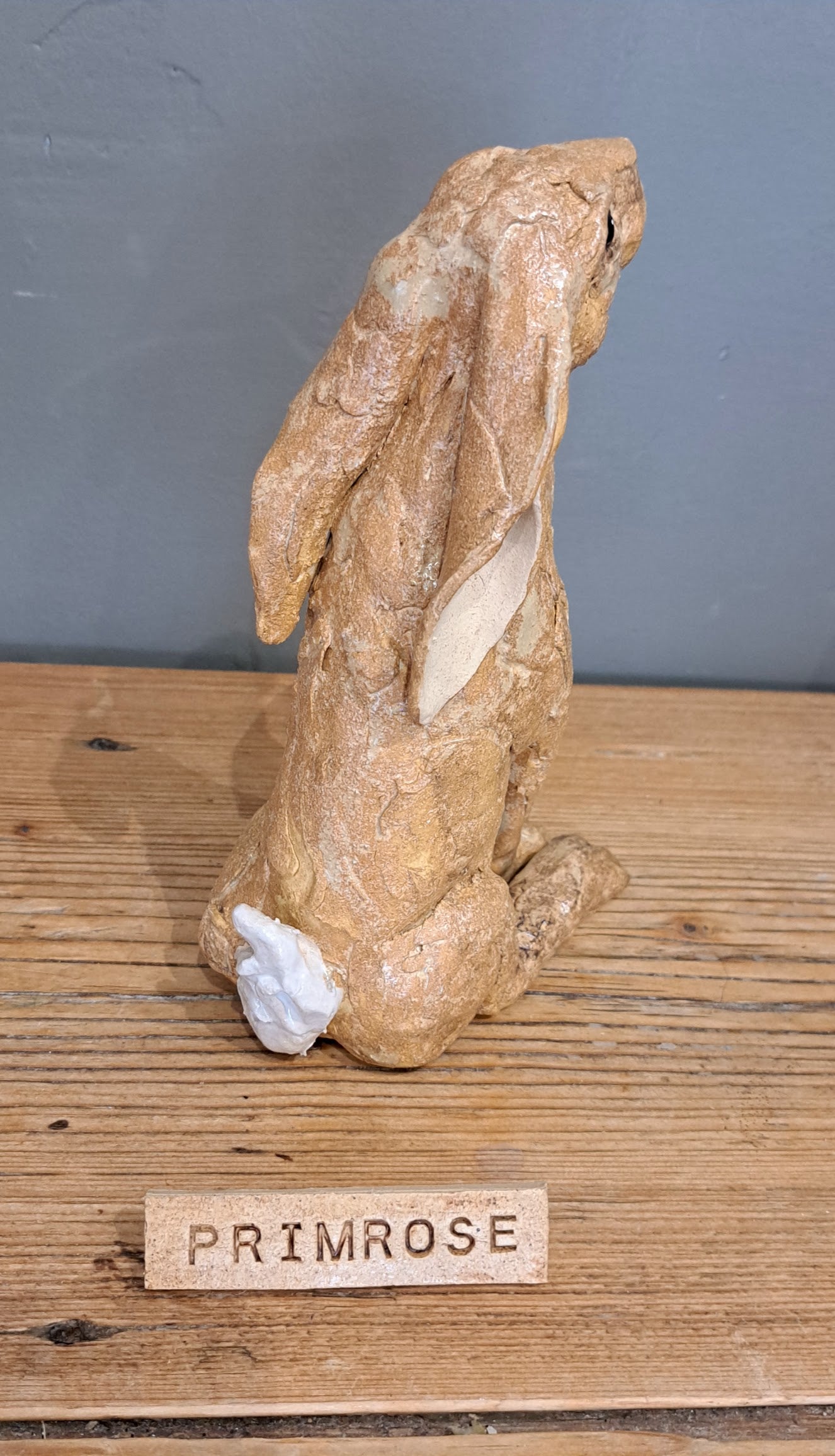 Sharon Westmoreland - Primrose Hare