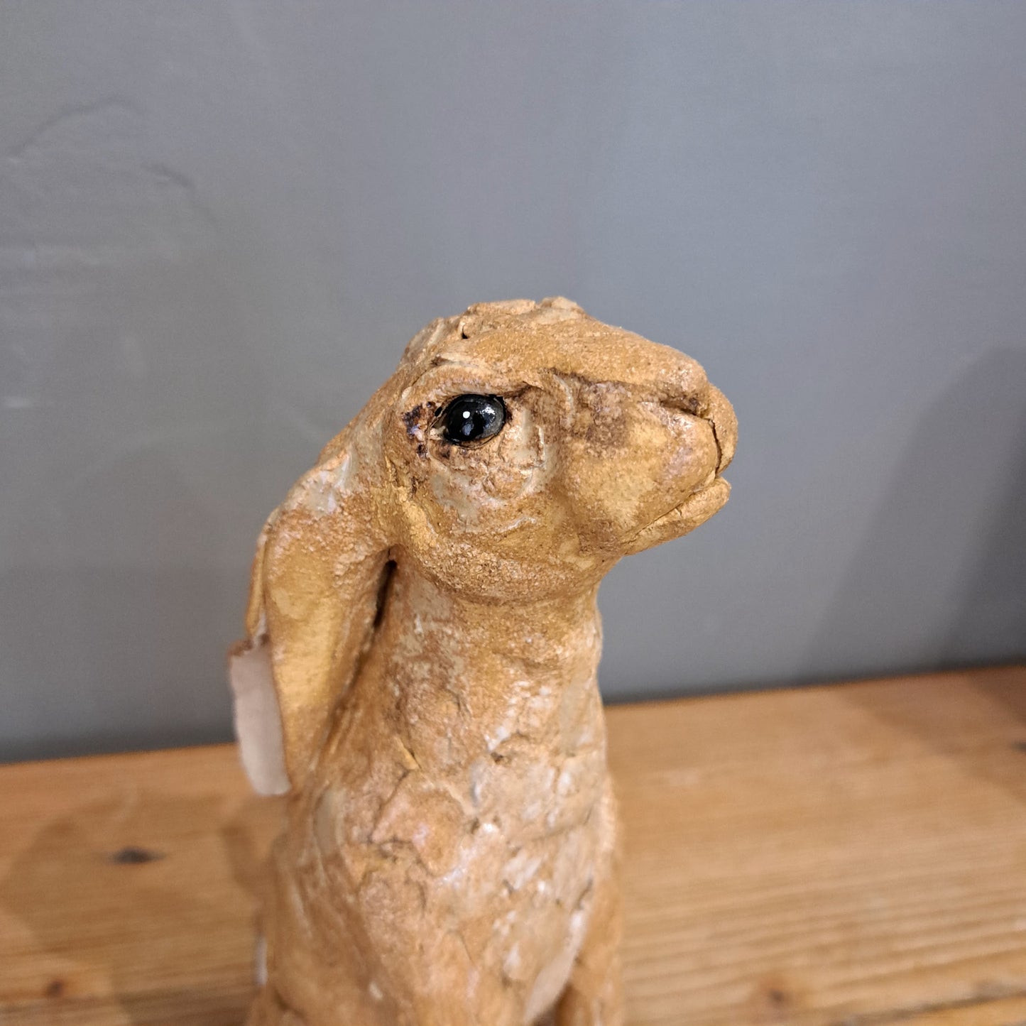Sharon Westmoreland - Primrose Hare