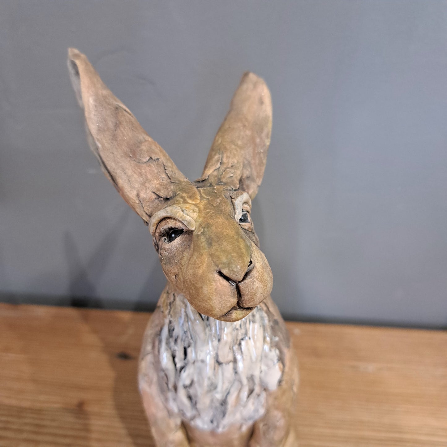 Sharon Westmoreland - Harry Hare