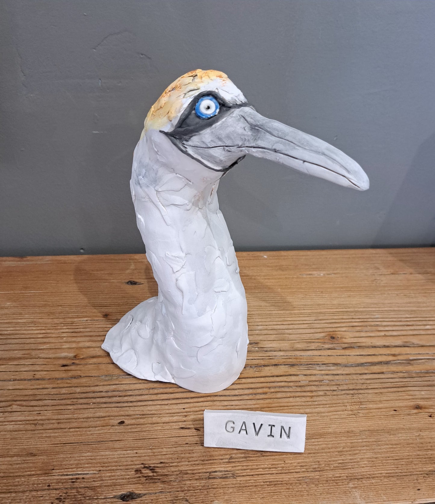Sharon Westmoreland - Gavin Gannet head