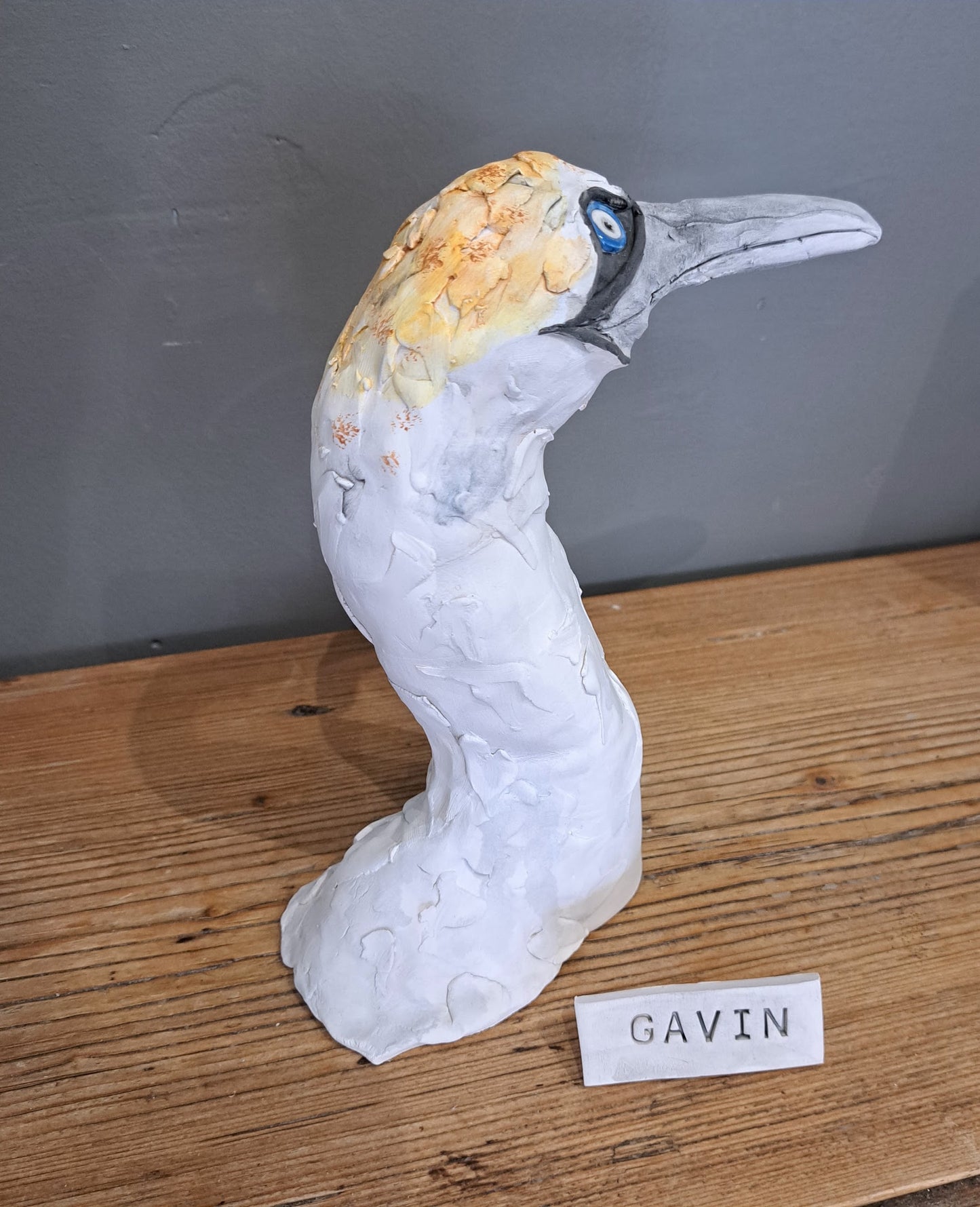 Sharon Westmoreland - Gavin Gannet head