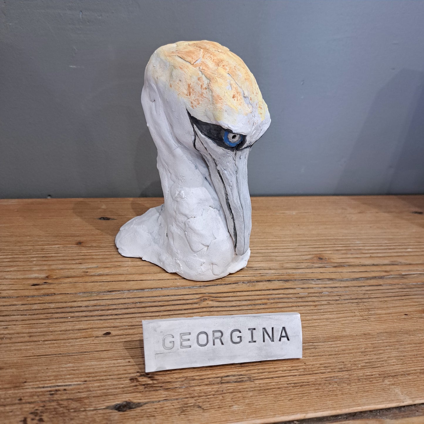 Sharon Westmoreland - Georgina Gannet head