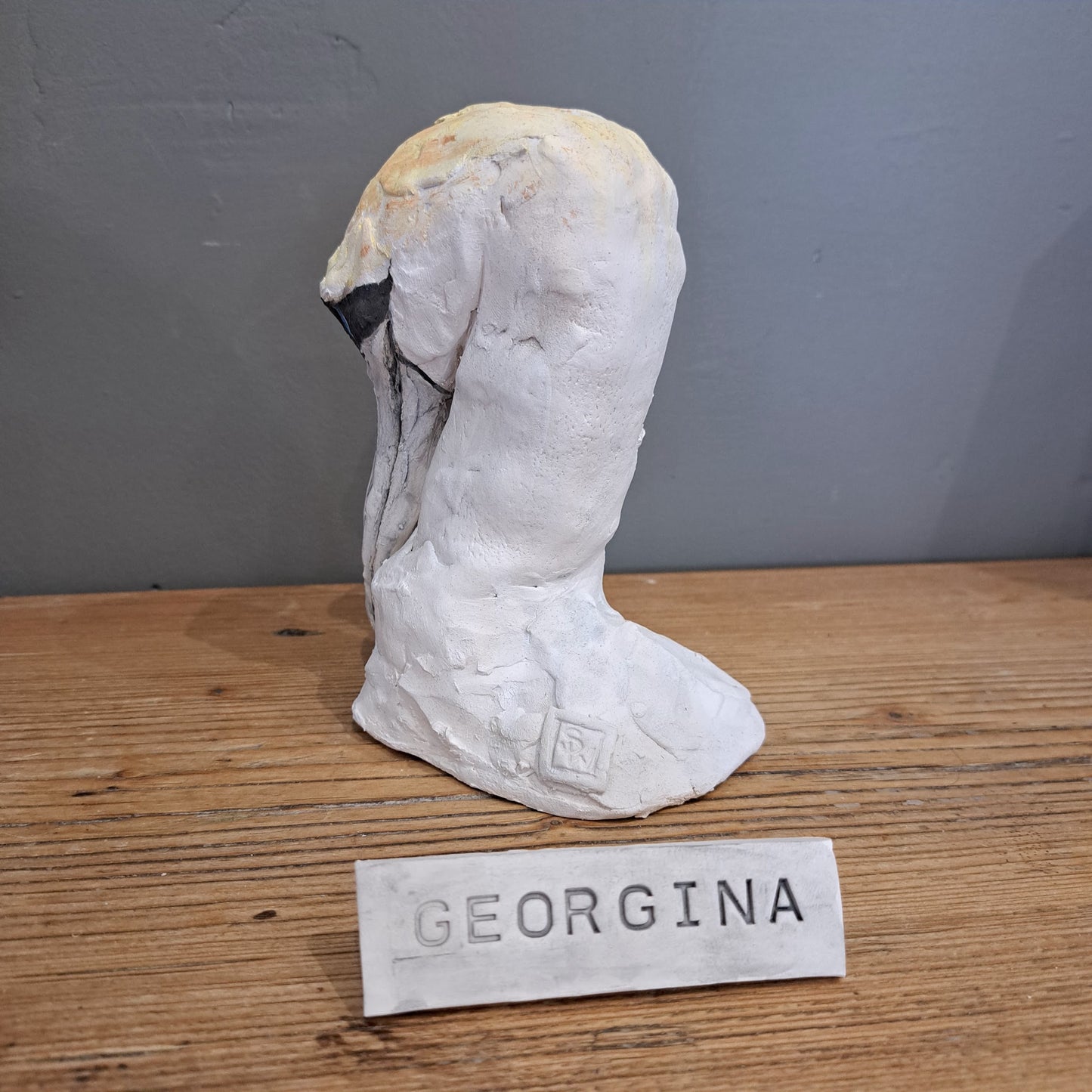 Sharon Westmoreland - Georgina Gannet head