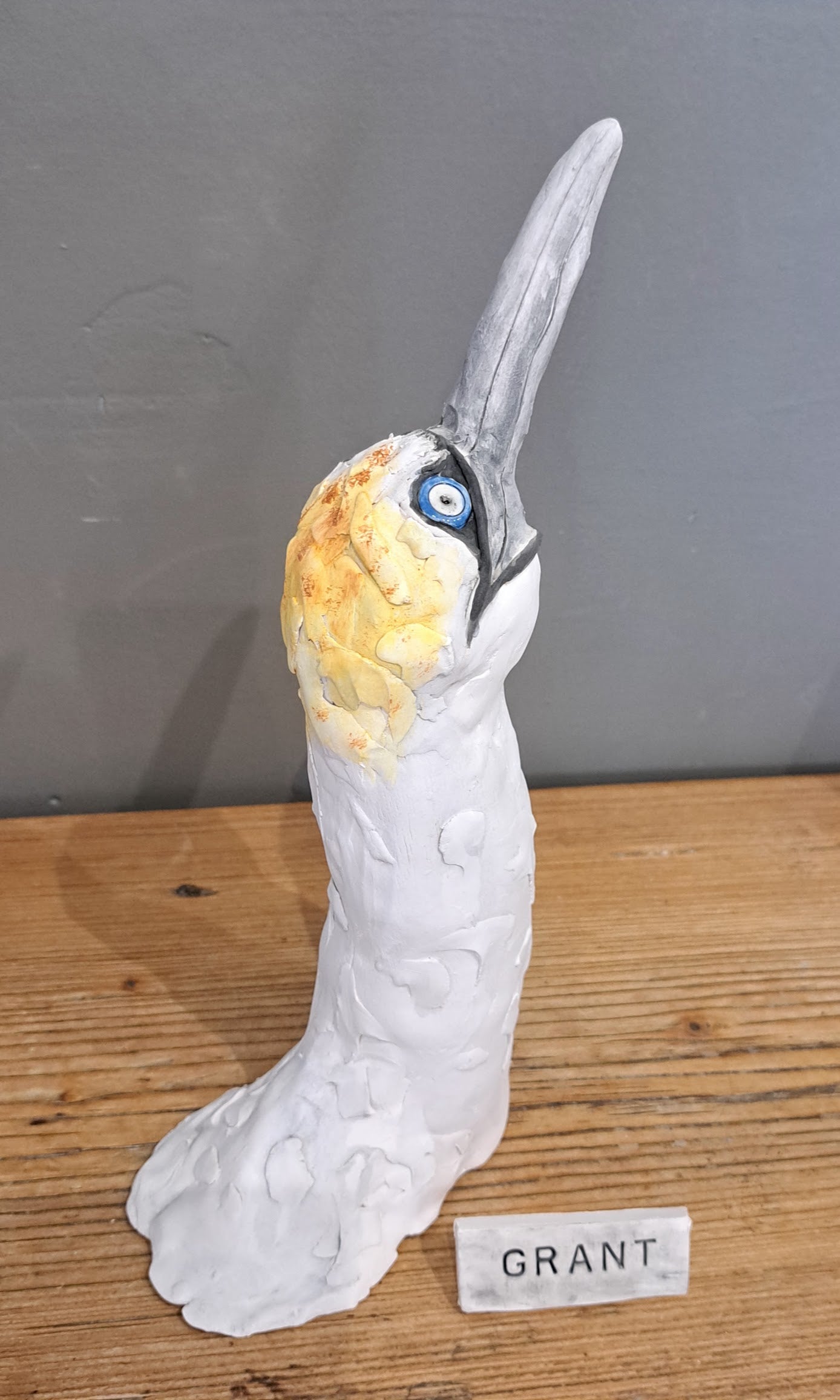 Sharon Westmoreland - Grant Gannet head
