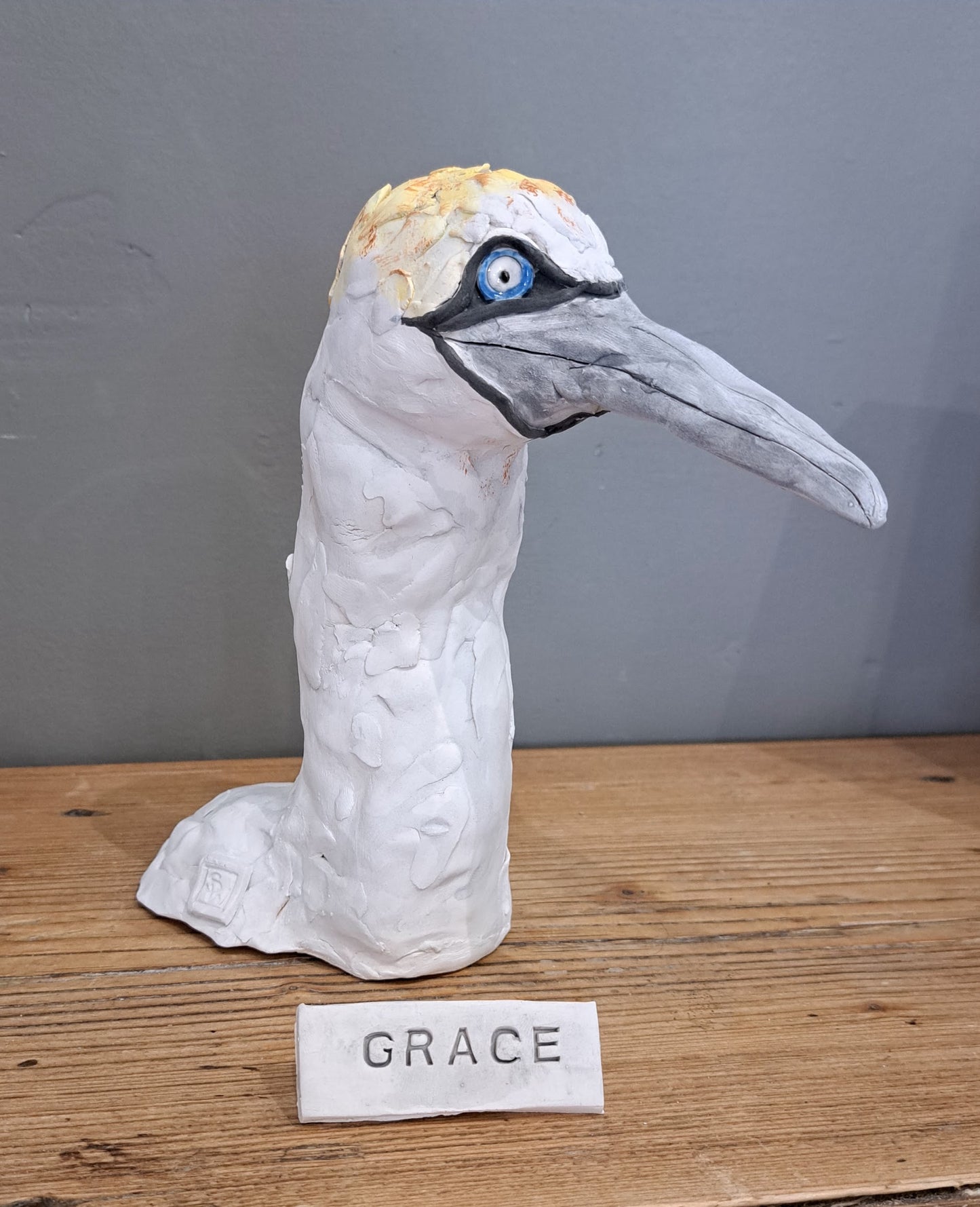Sharon Westmoreland - Grace Gannet head