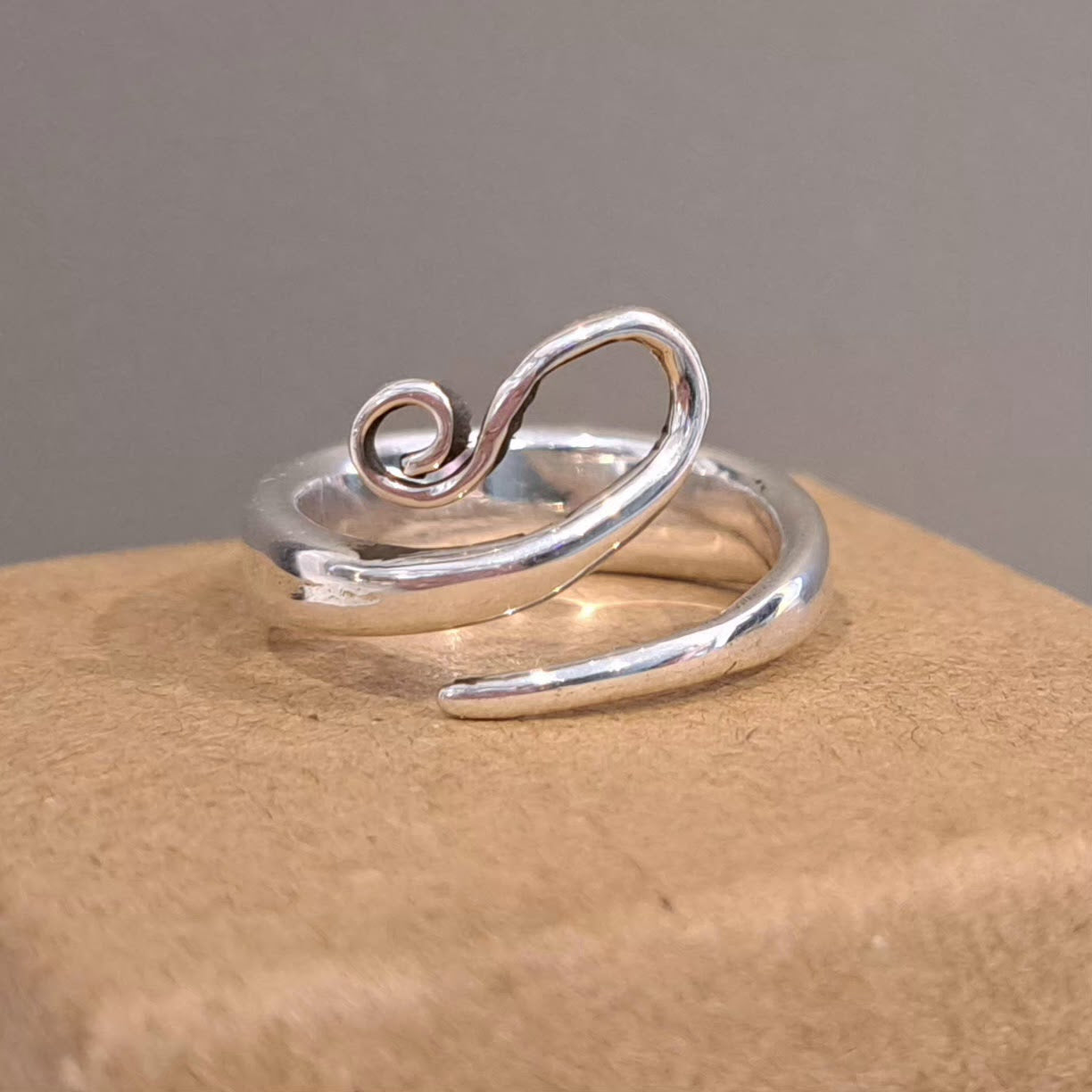 Anthea Peters - Shepherd's Crook Ring - Silver Challenge April