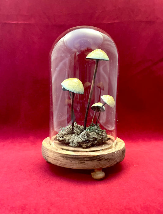 Anthea Peters - Glass Enamelled Toadstool Cloche