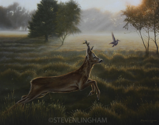 Steve Lingham - Disturbing The Peace, Roe Deer Buck & Woodcock