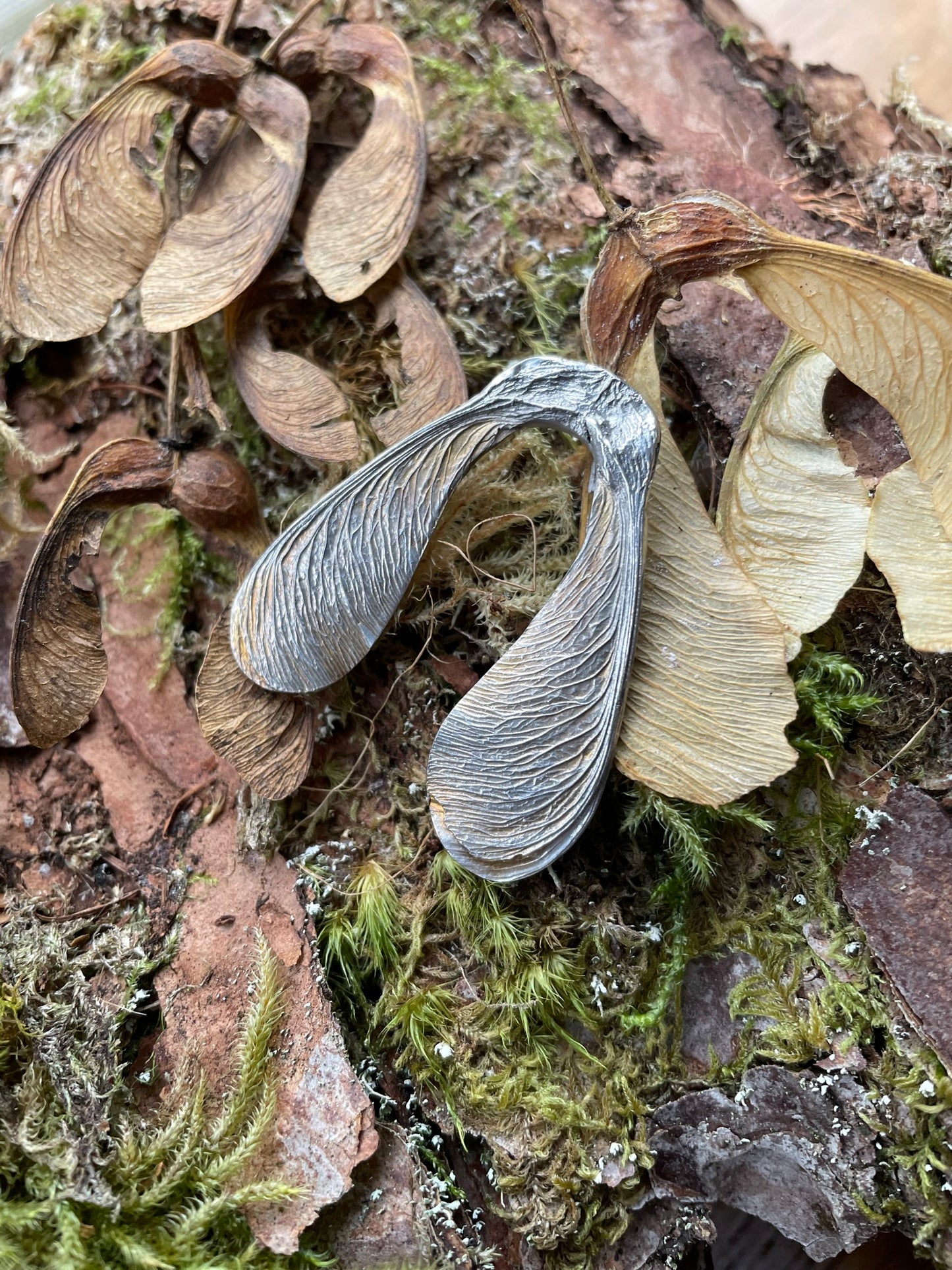 Anthea Peters - Sycamore brooch