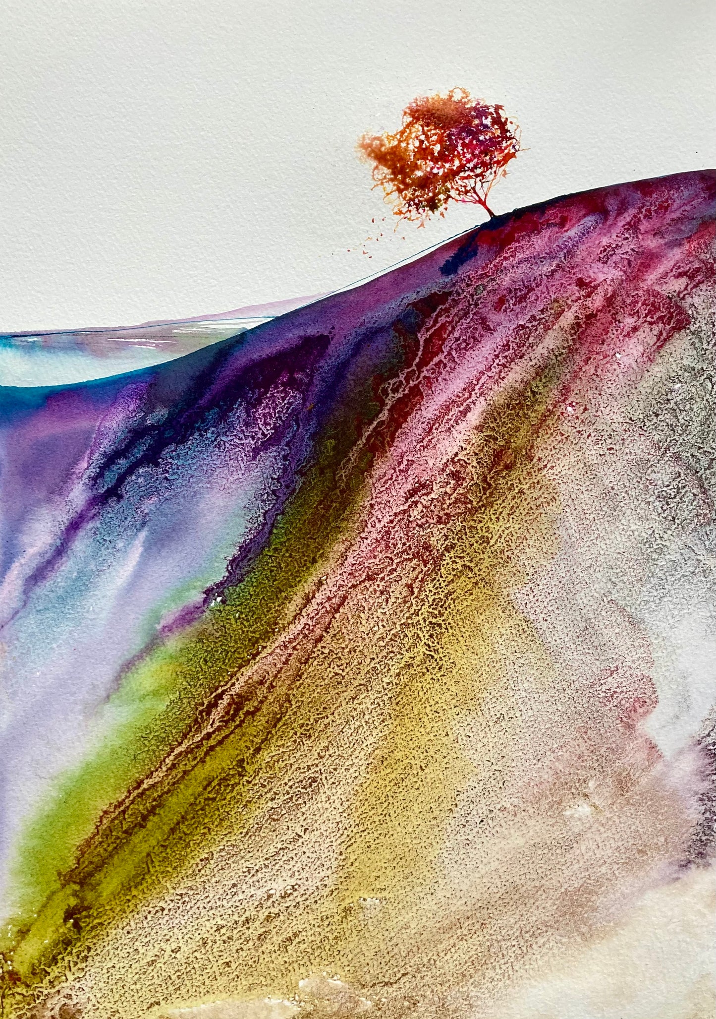 Ione Harrison - Watercolour Print Collection 11 x 21cm x 30cm