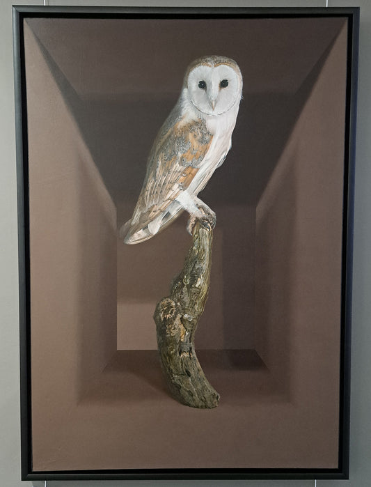 Sarah Williams - Barn Owl Oil Painting