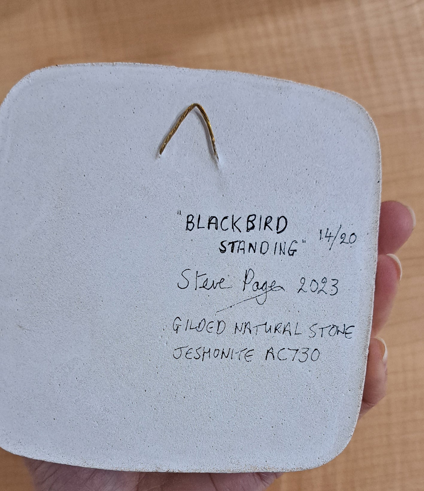 Steve Page - Jesmonite Birds