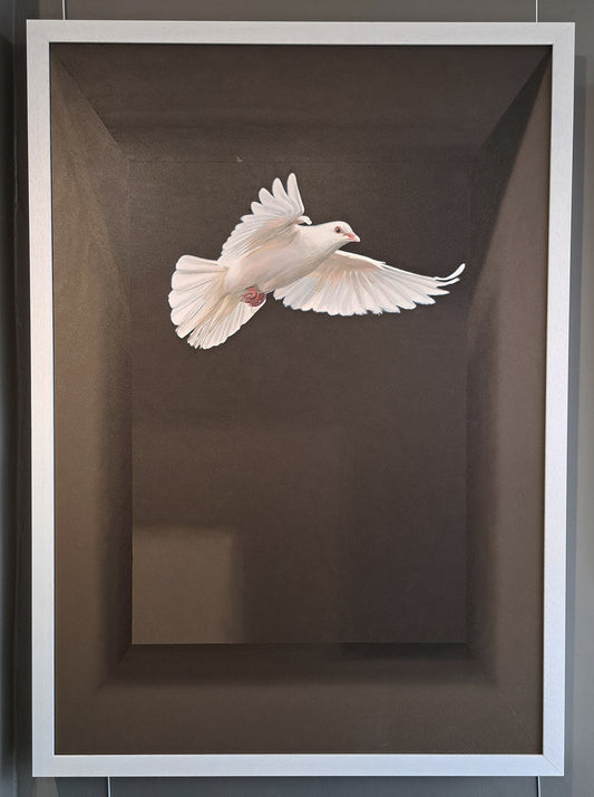 Sarah Williams - 'Peace' White Dove Oil Painting