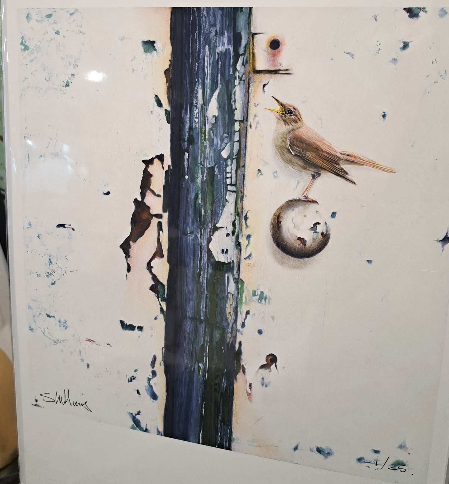 Sarah Williams - Fine Art Print Collection