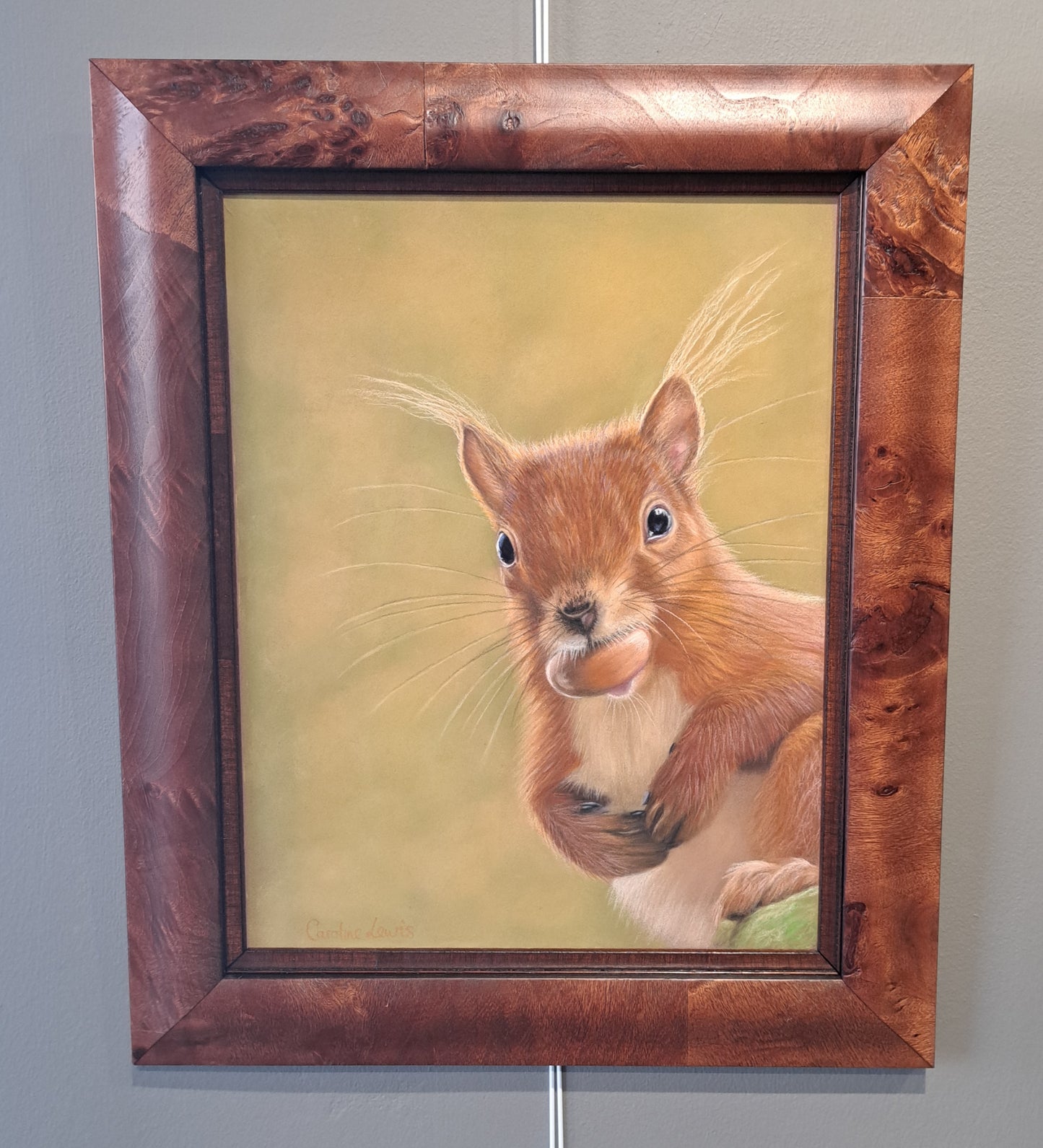 Caroline Lewis - Red Squirrel, 'What a treat'