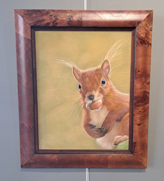 Caroline Lewis - Red Squirrel,  'What a treat'