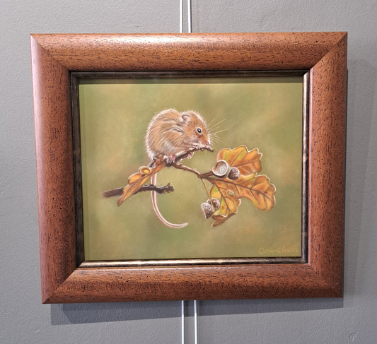 Caroline Lewis - Harvest Mouse