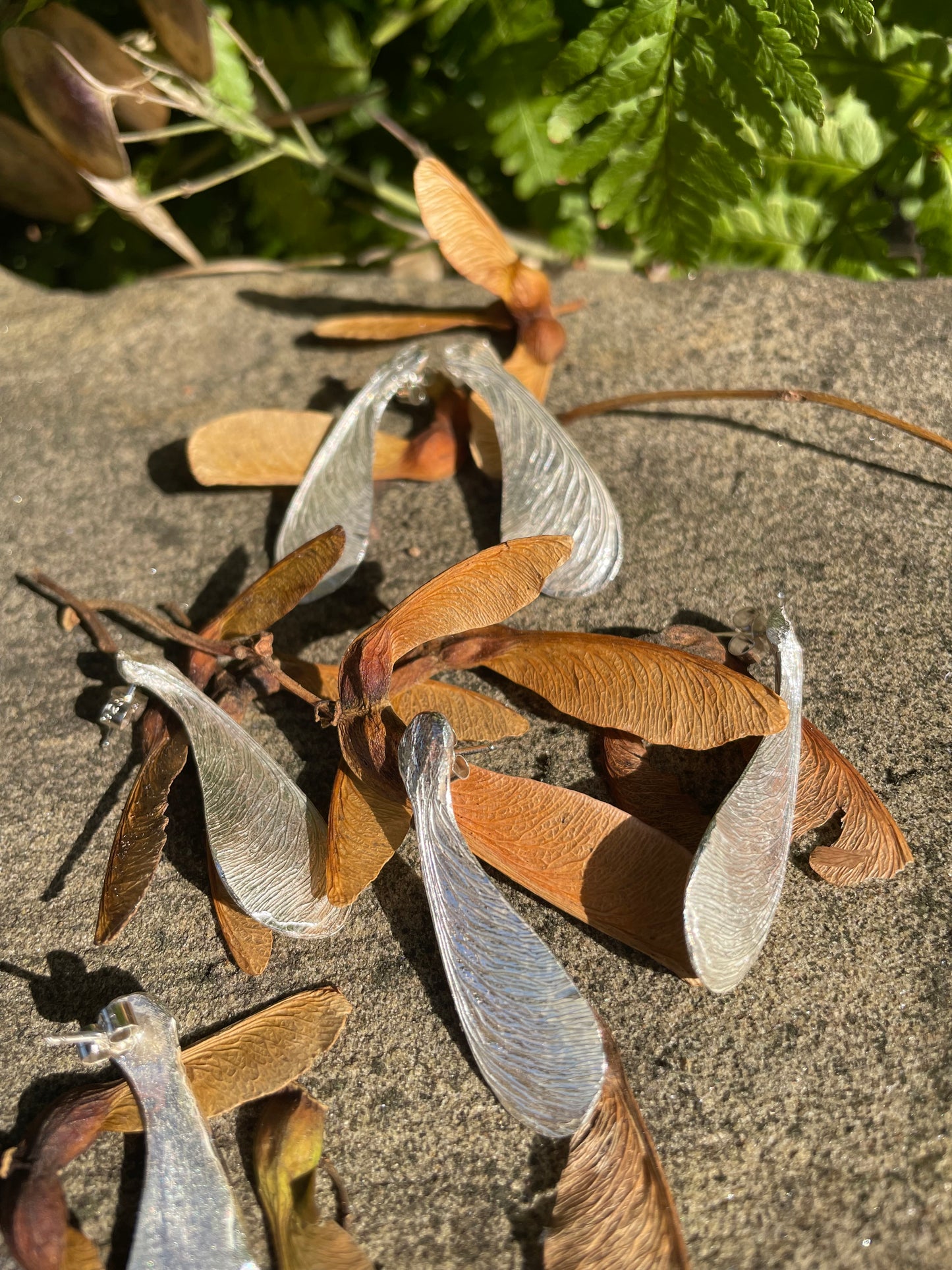 Anthea Peters - Sycamore earrings