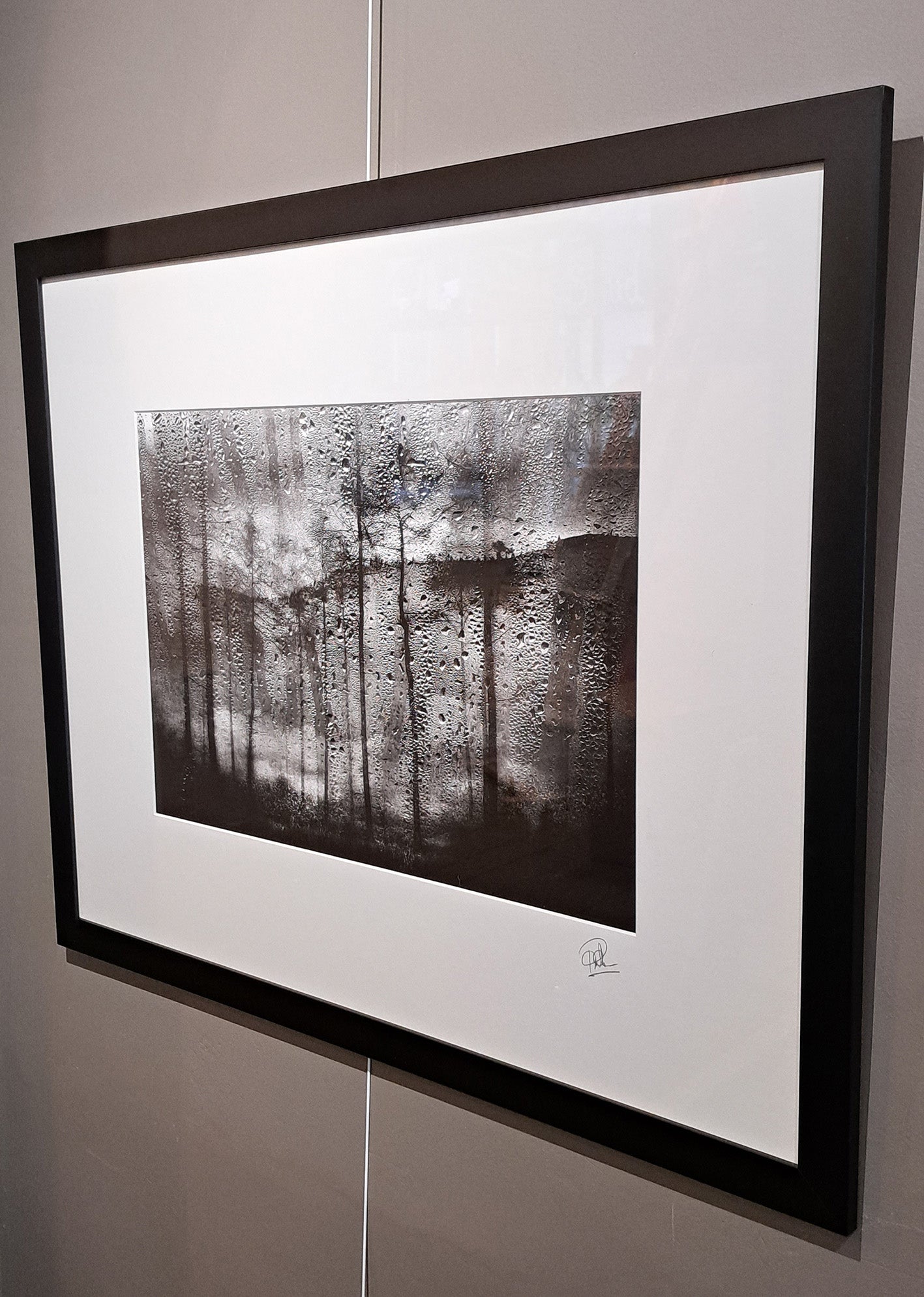Peter Heaton Photography - Forest Rainscape