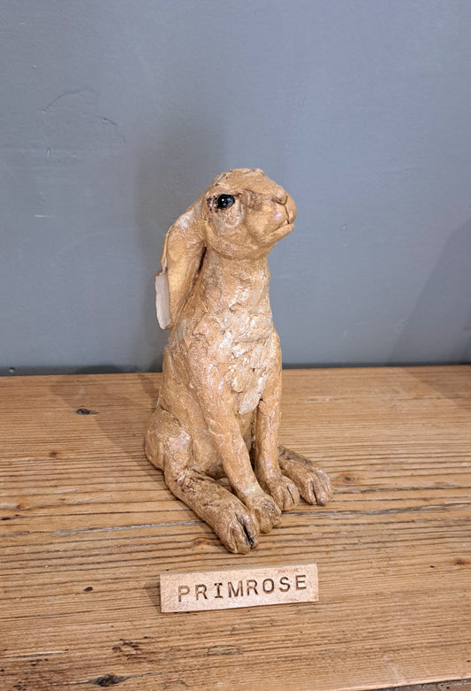 Sharon Westmoreland - Primrose Hare