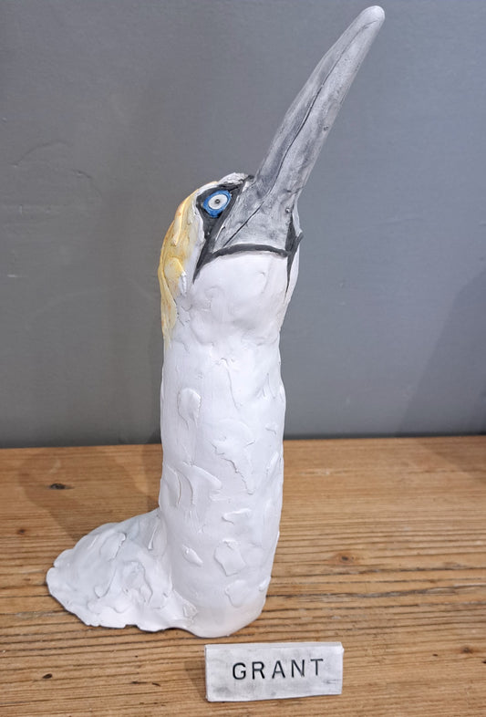Sharon Westmoreland - Grant Gannet head