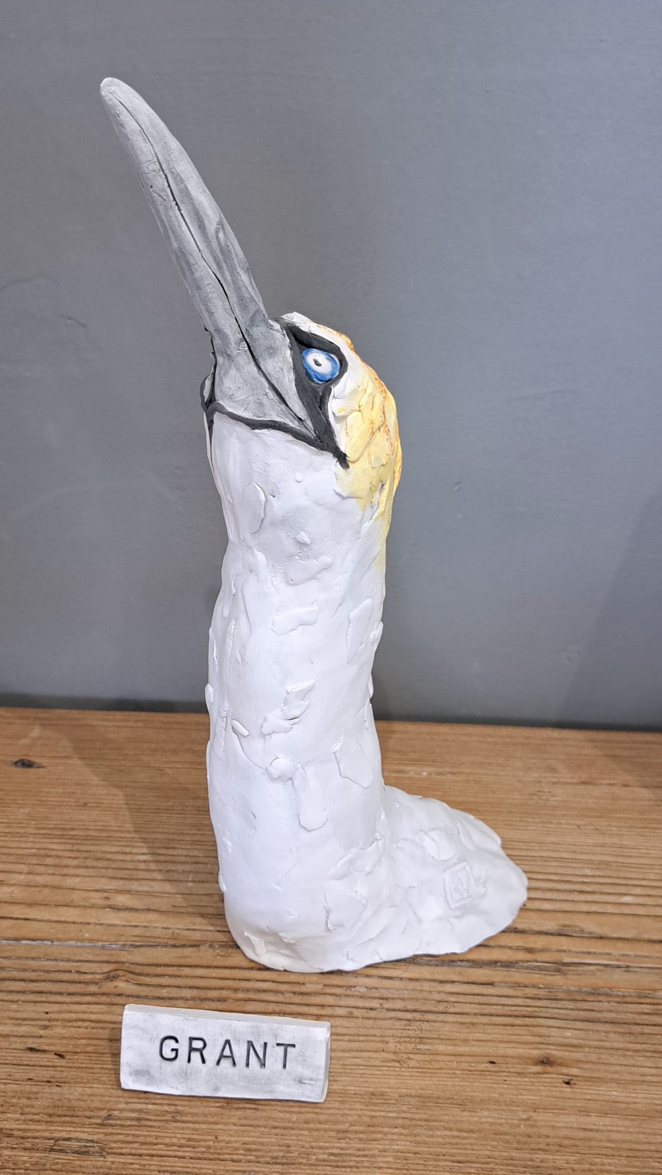 Sharon Westmoreland - Grant Gannet head