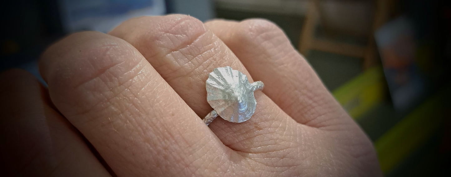 Carole Ramsden Silver - CR158 - Silver cast limpet shell ring