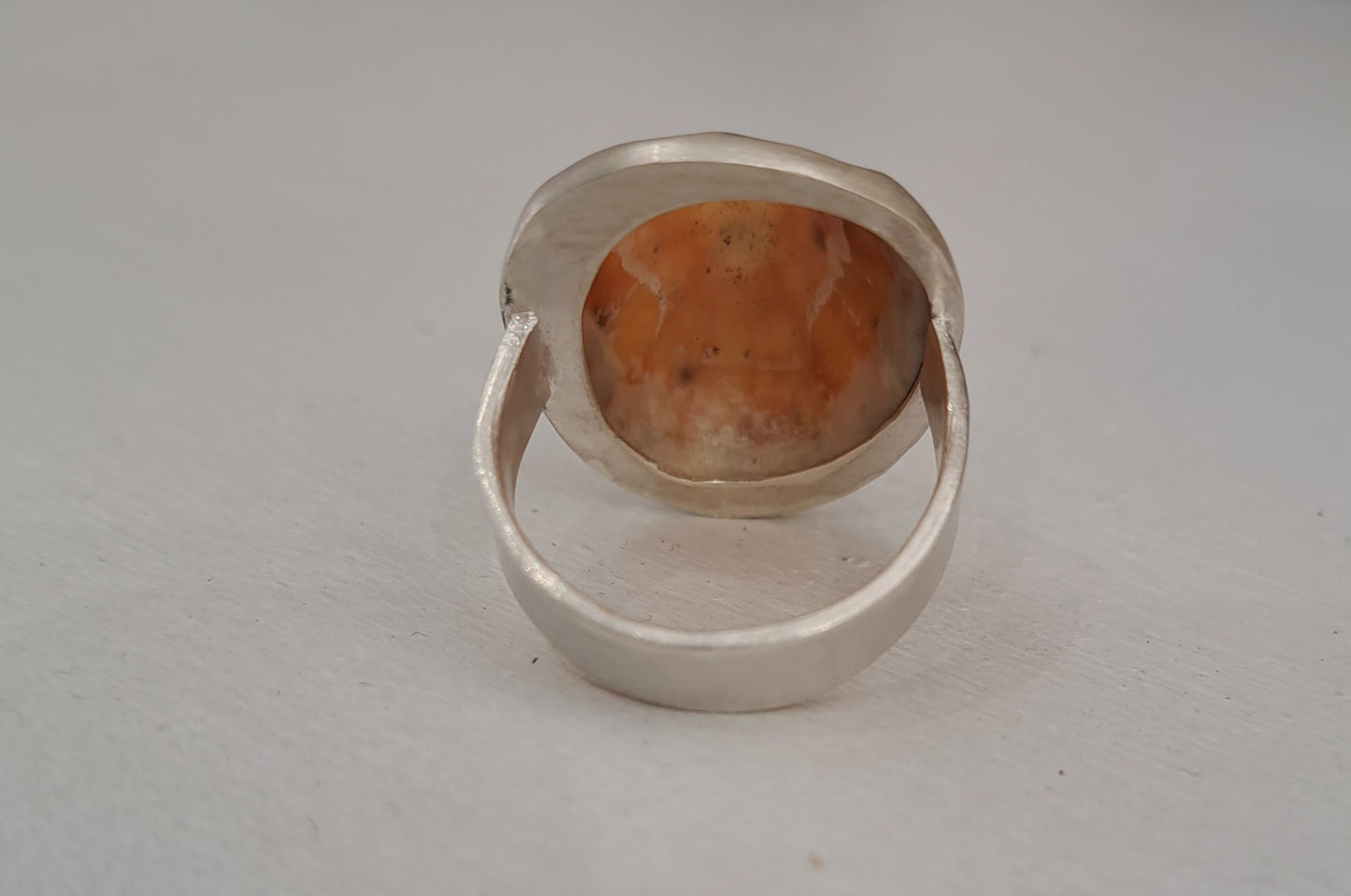 Carole Ramsden Silver - CR163 - Limpet shell and silver band ring