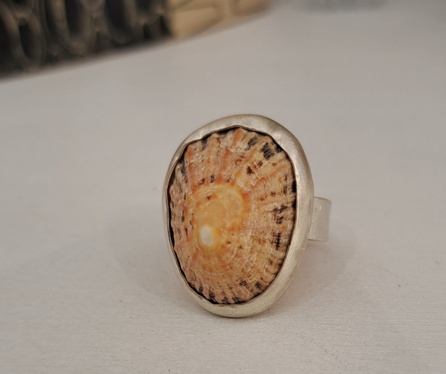 Carole Ramsden Silver - CR163 - Limpet shell and silver band ring