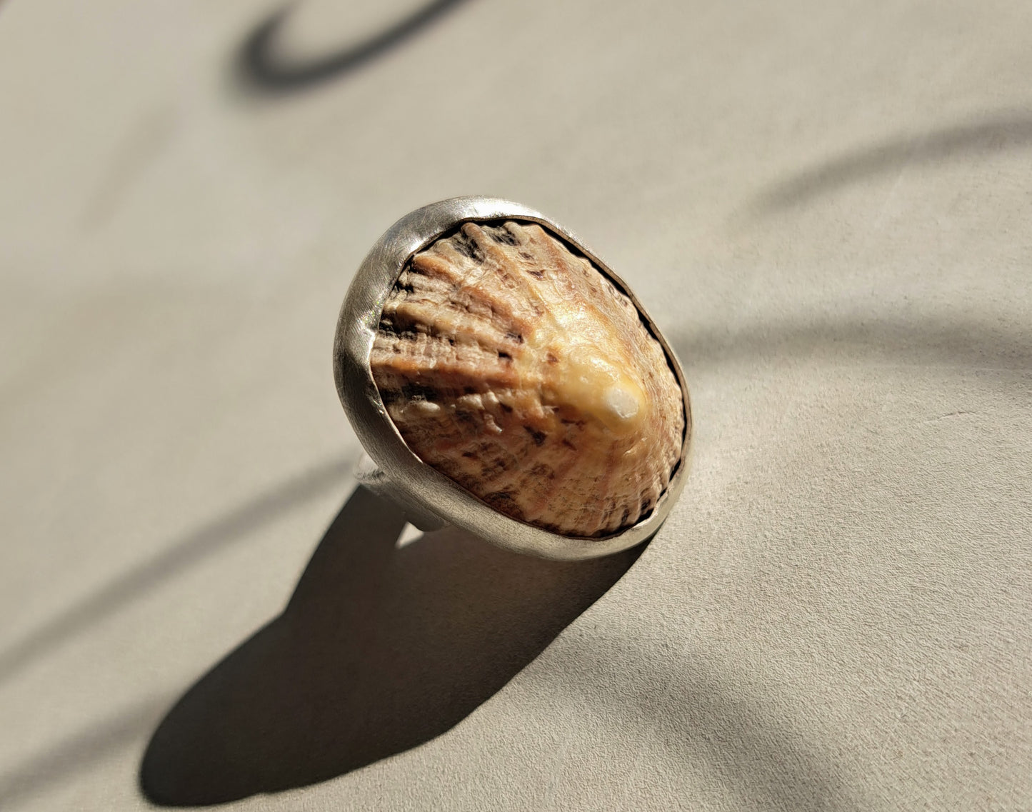 Carole Ramsden Silver - CR163 - Limpet shell and silver band ring