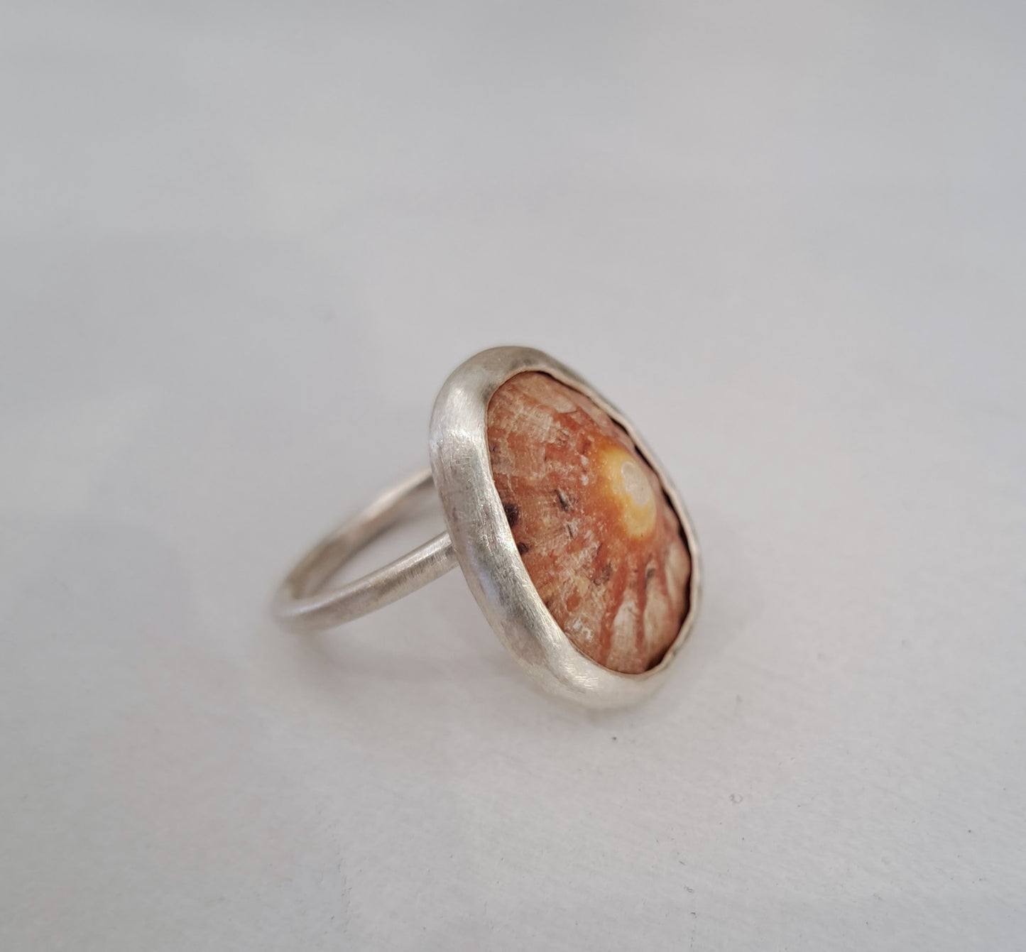 Carole Ramsden Silver - CR164 - Limpet shell and silver narrow band ring