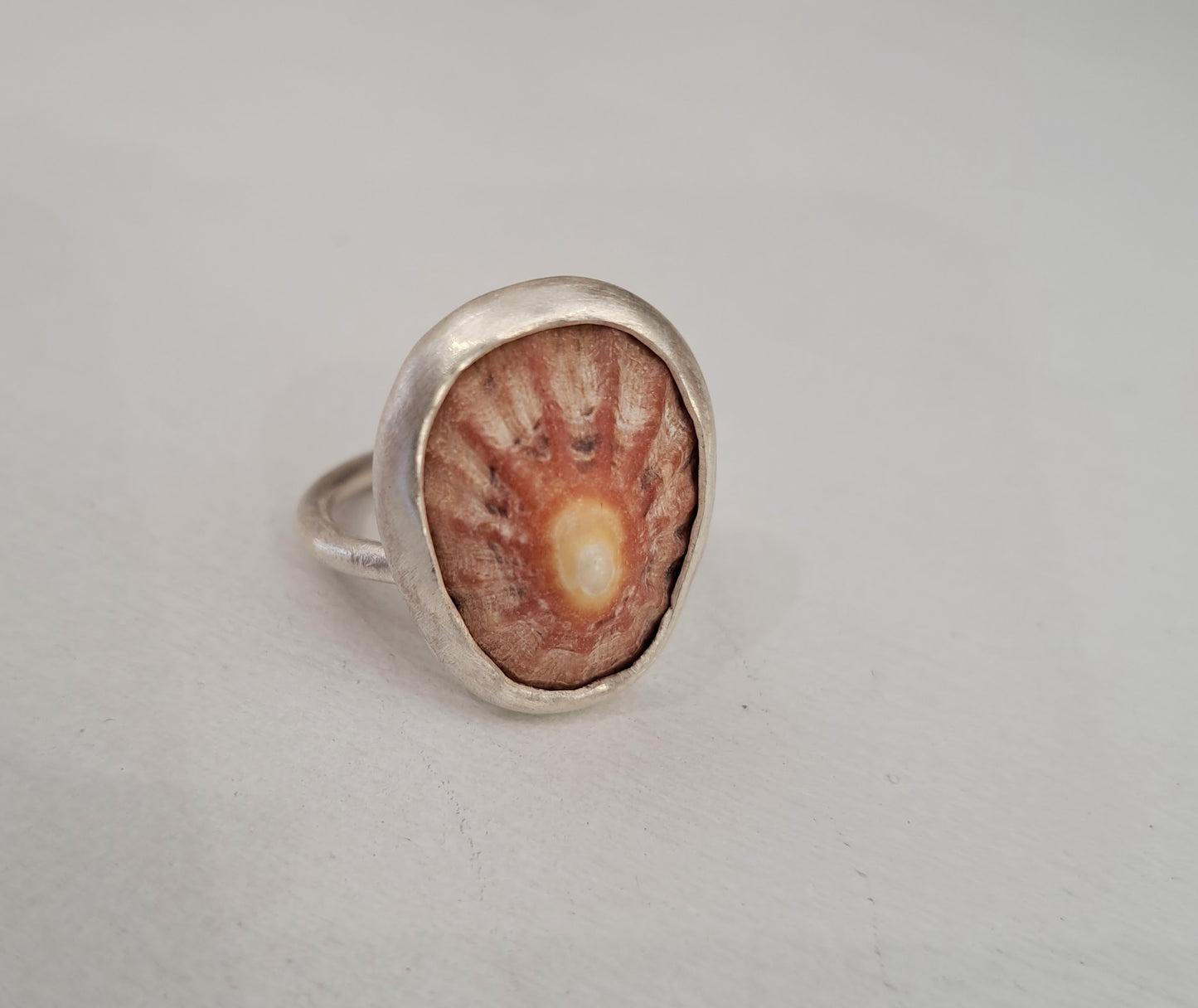 Carole Ramsden Silver - CR164 - Limpet shell and silver narrow band ring
