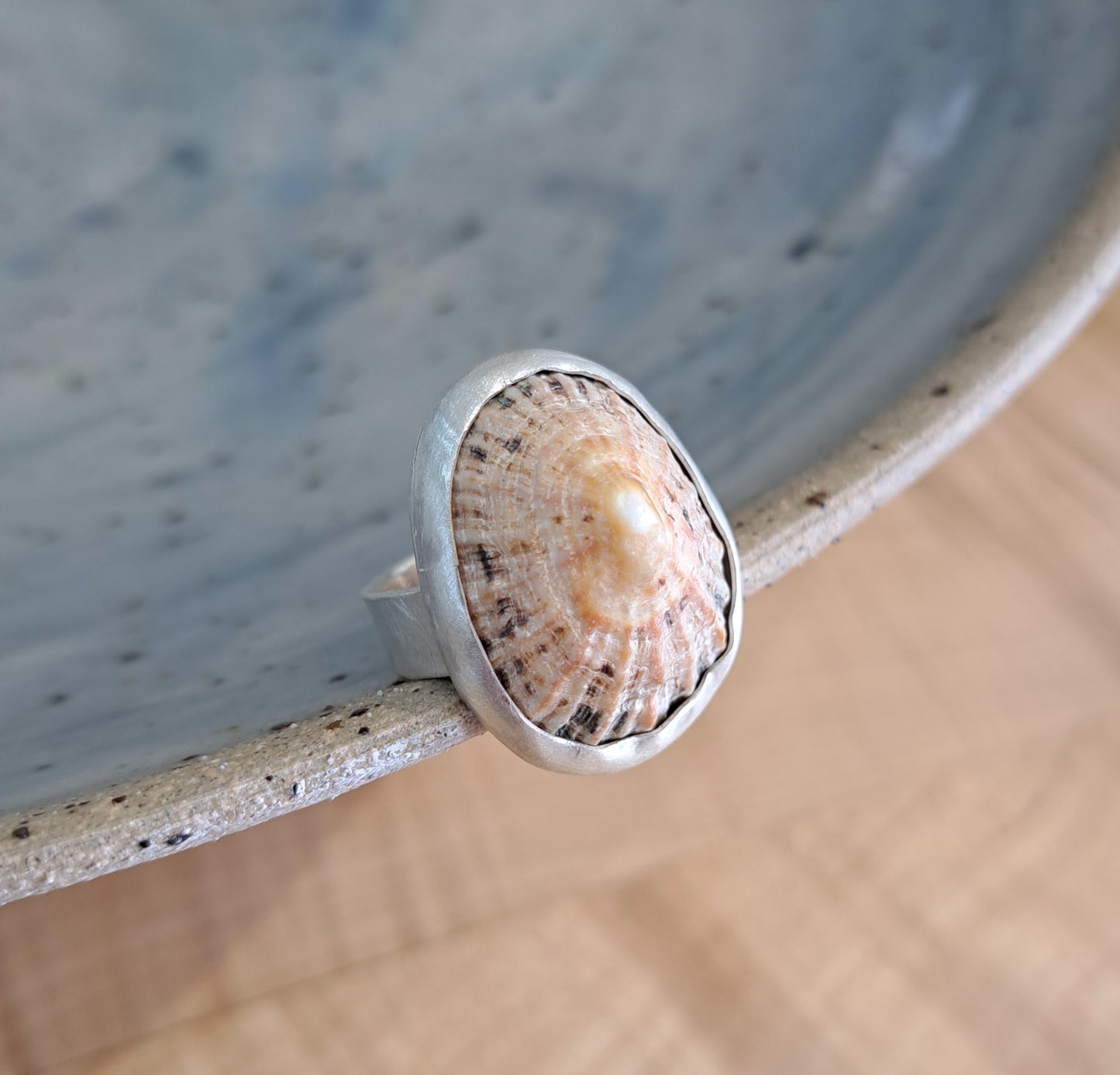 Carole Ramsden Silver - CR163 - Limpet shell and silver band ring