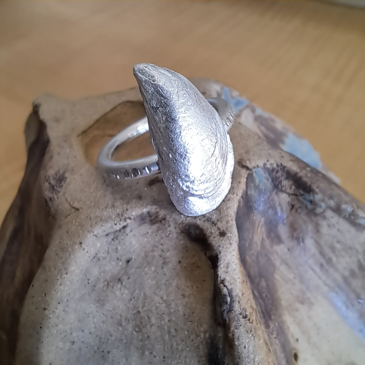Carole Ramsden Silver - CR157 - Silver cast mussel shell ring