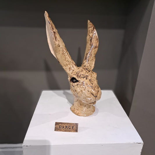 Sharon Westmoreland - Darcy Hare head