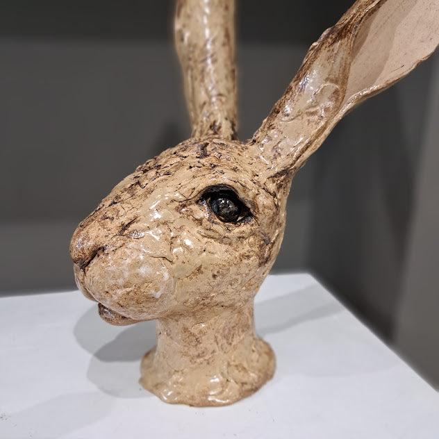 Sharon Westmoreland - Darcy Hare head