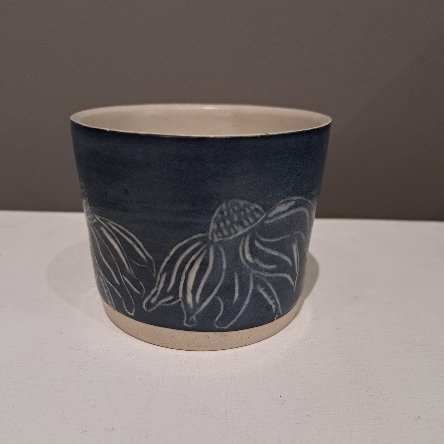 Ciara McClarence - Echinacea plant pot 6