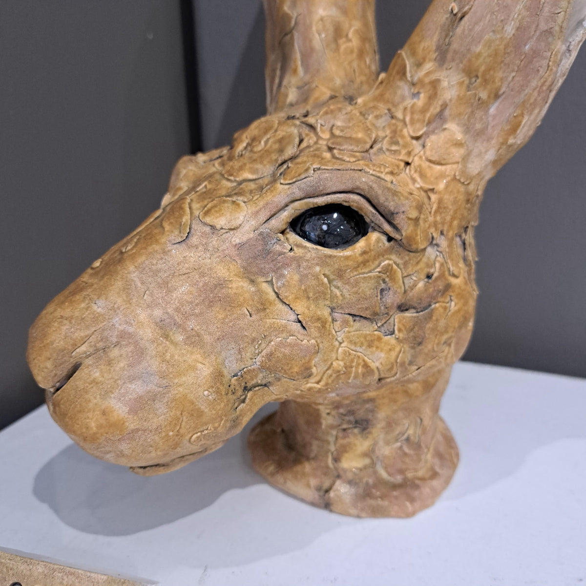 Sharon Westmoreland - Oscar hare head
