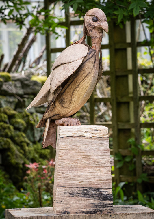 Mike Nowill - Wood Sculptures, Brown Buzzard