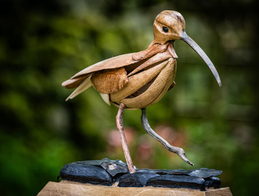 Mike Nowill - Wood Sculptures, Curlew
