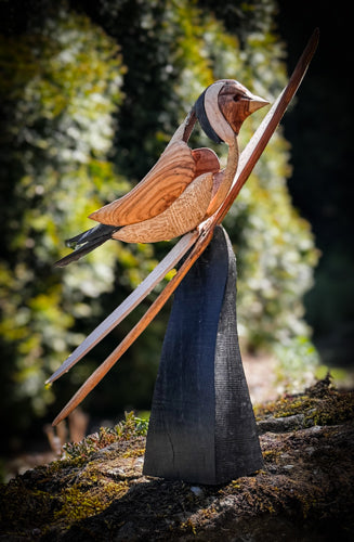 Mike Nowill - Wood Sculptures, Goldfinch