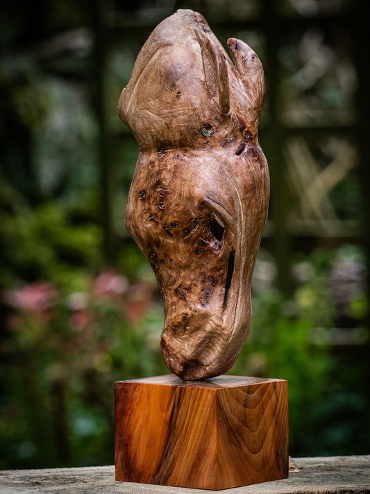 Mike Nowill - Wood Sculptures, Horse Head