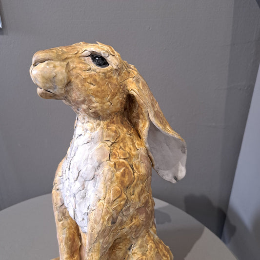 Sharon Westmoreland - Hattie moongazing hare