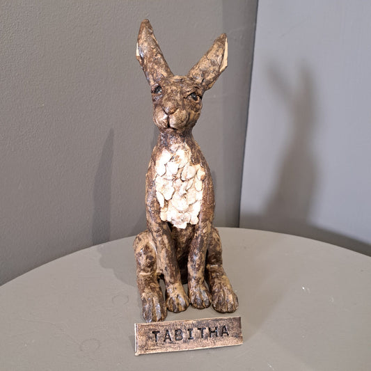 Sharon Westmoreland - Tabitha hare