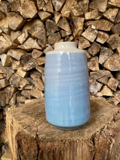 Pamela Thorby Ceramics - Blue and White Capped Vase 22