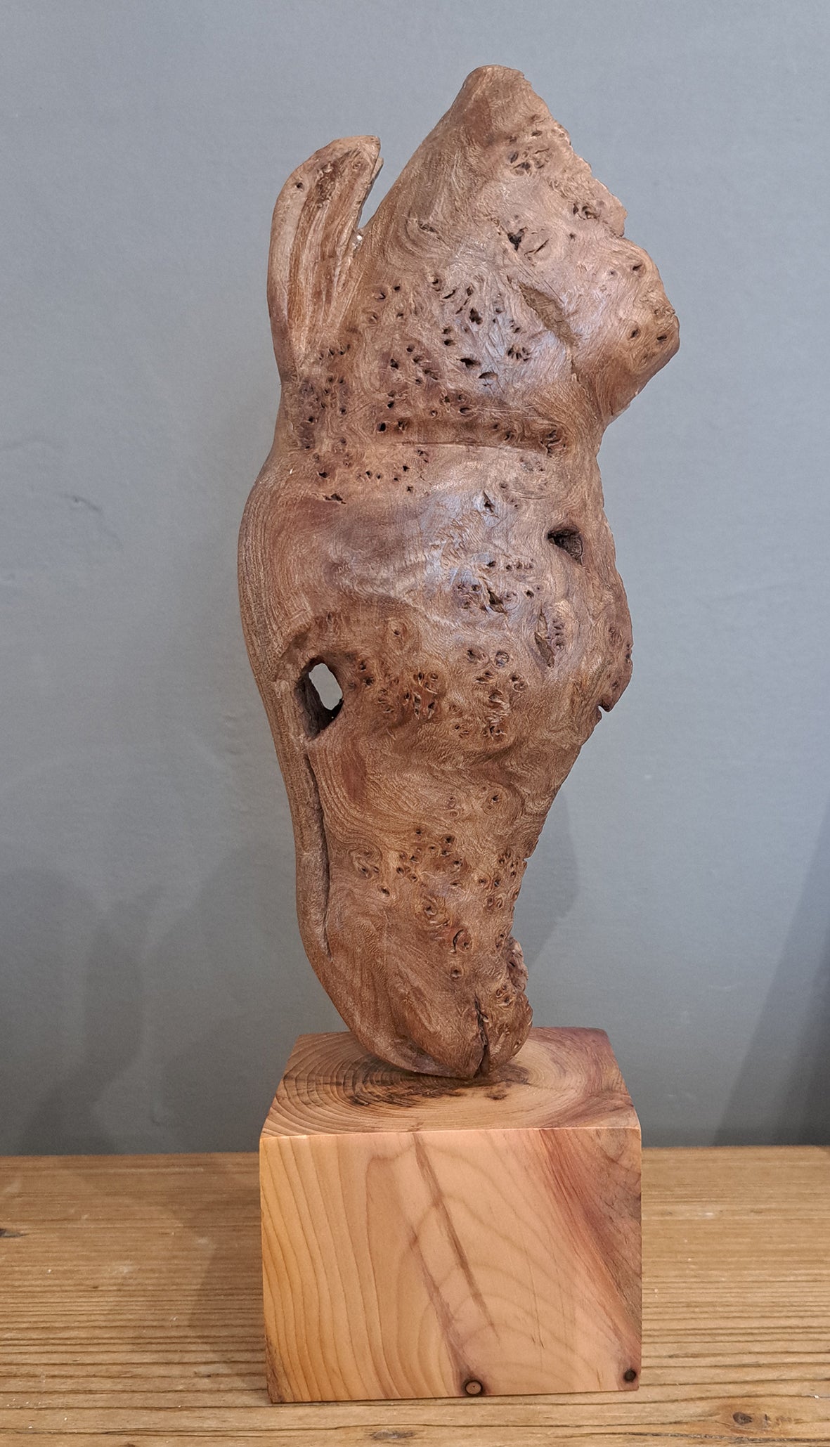 Mike Nowill - Wood Sculptures, Horse Head, Mare Drinking